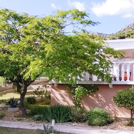 The Garden Of Elais Villa ชิเบนิก ภายนอก รูปภาพ